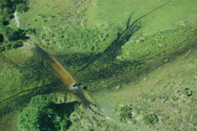Okavango Delta Botswana