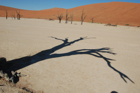 Deadvlei Namibia