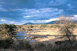 Ruaha Nationalpark