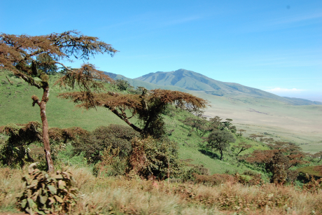 Ngorongoro Krater