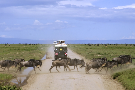 Serengeti Nationalpark