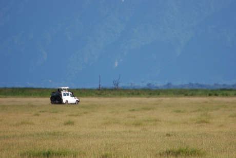 Lake Manyara Nationalpark